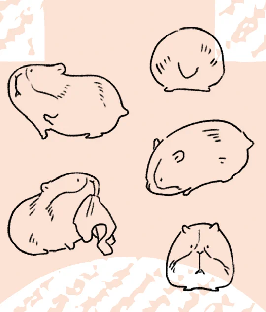 この想像だけで描いたゆるゆるモルモット気に入ってる。特に右下の正面モル、正面なのか? 
