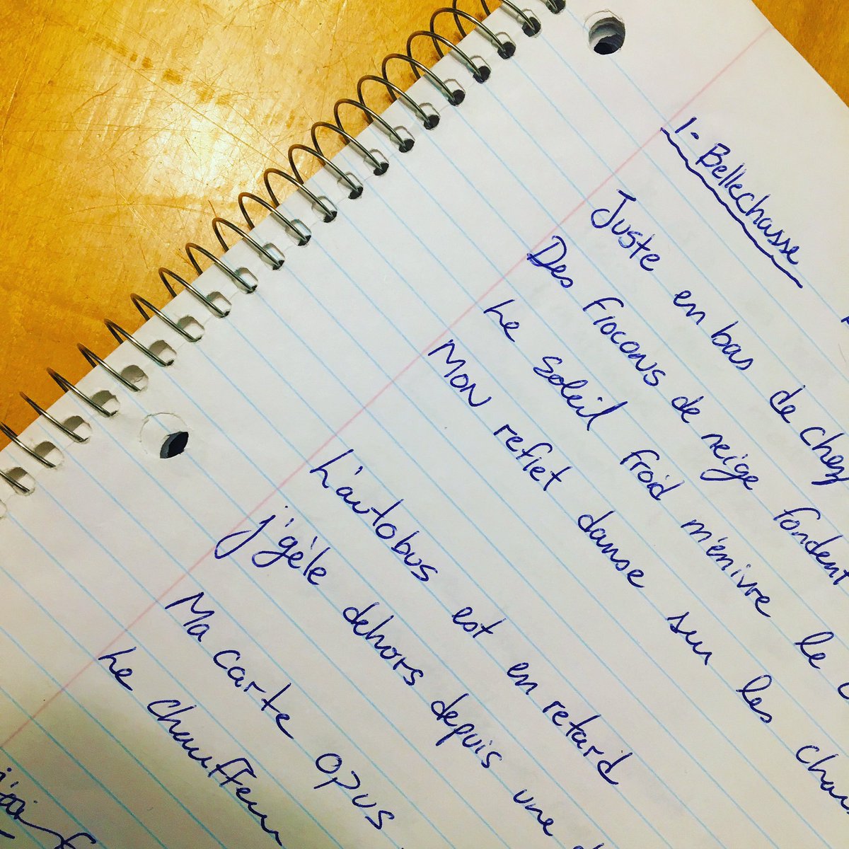 Dans mon 1  1/2 sur Bellechasse