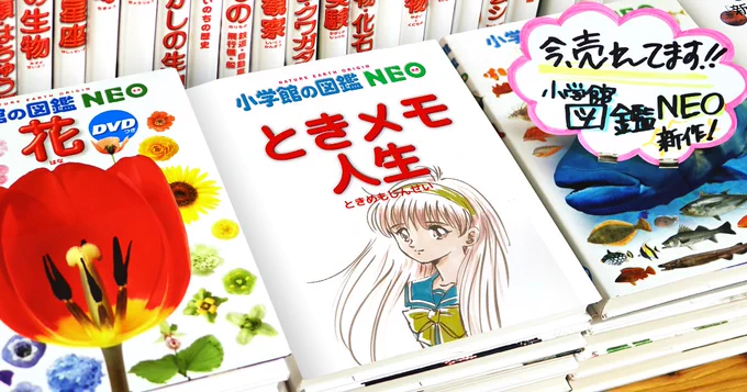 前に図鑑メーカーが賑わった時に作ったが、さすがに人間としてどうかと自粛した。したはずなのにー喉元すぎればー(TдT) 