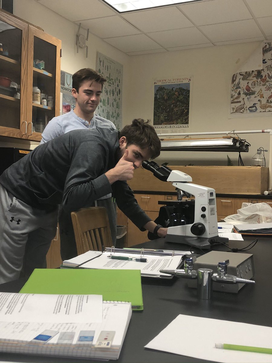 PollanHannah's tweet photo. In lab this week we got to look at lots of cool things under a microscope including a cheek sample! @UNKBiol106AC https://t.co/o0PU5I93nU