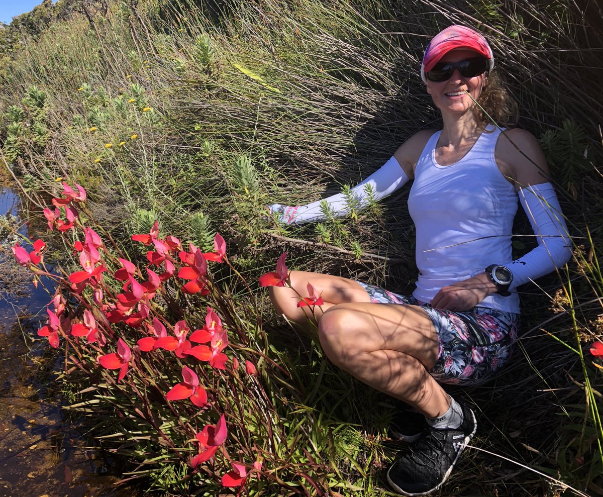 veryvivolicious's tweet photo. Estatic to have found the beautiful #disa flowers on #tablemountain this weekend. Worth every drop of sweat going up Nursery Ravine.
#vivolicious #trail #running #adventure
@TRAILza #trailtrophy https://t.co/hIRxPUj7mt