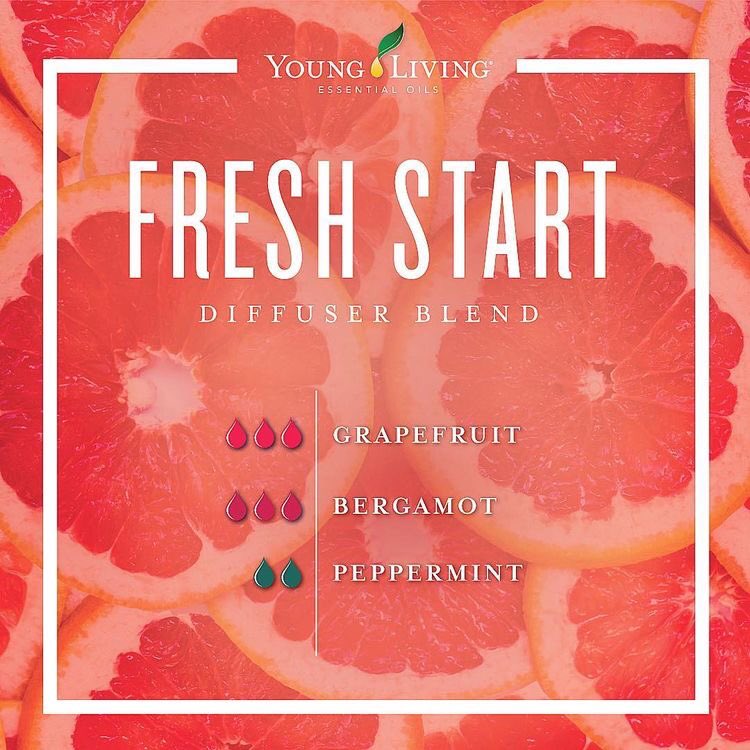 YoungLivingAF's tweet photo. Start your week fresh with our #LanternDiffuser and this ‘Fresh Start’ blend using Grapefruit🍊; Bergamot🍃 and Peppermint🌿!!
#NewWeek #StartFresh #DiffuserBlend #EssentialOils
#YoungLivingAfrica https://t.co/ASKnqF8W99