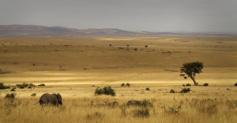 land_rail's tweet photo. #safari#holiday#trips#groupjoining#solotravellers#adventure#campingsafari#tembeakenya#bigfive#maasaimara#maasai#maasaiculture#landrailsafaris
https://t.co/yiEeeL6VMb…/3-days-camping-safari-masai-…/
For more information contact us :+254707521743
Email:landrailsafaris@gmail.com https://t.co/3SaOdJPOJN