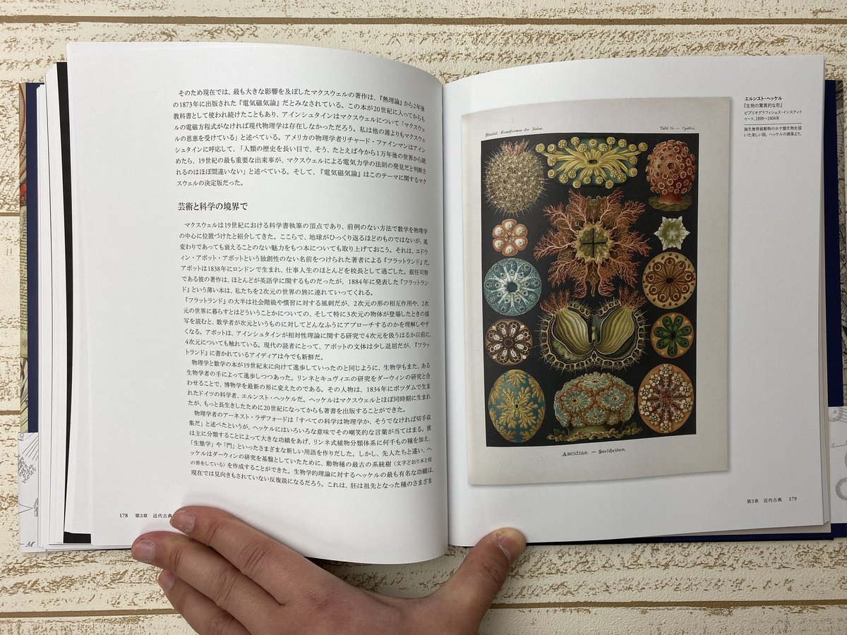 美しい図版］ カルペパー『ハーブ事典』。ヘッケル『生物の驚異的な形