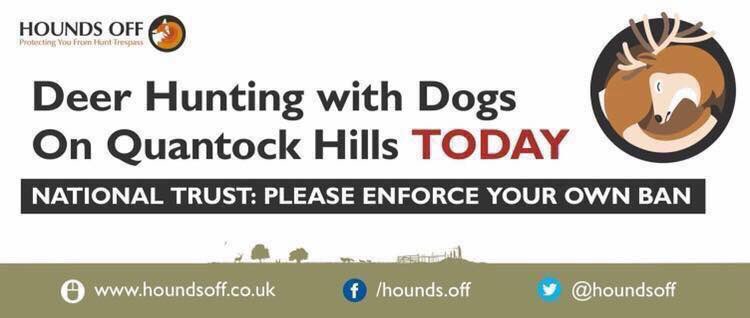 Hounds Off tweet media