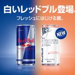 レッドブルが4年ぶりに新フレーバーを発売!数量限定だから発売されたら急げ～