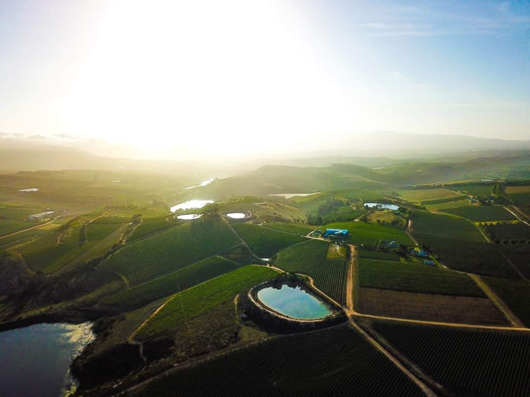 SouthHillElgin's tweet photo. Follow us on Facebook & Instagram to keep updated on #SouthHillVineyards news and offerings and see more beautiful photos just like this one, taken by a guest, Jason Ward.
#ExperienceElgin #StayElgin #AgriTourismAfrica https://t.co/Wjvf0av3JO