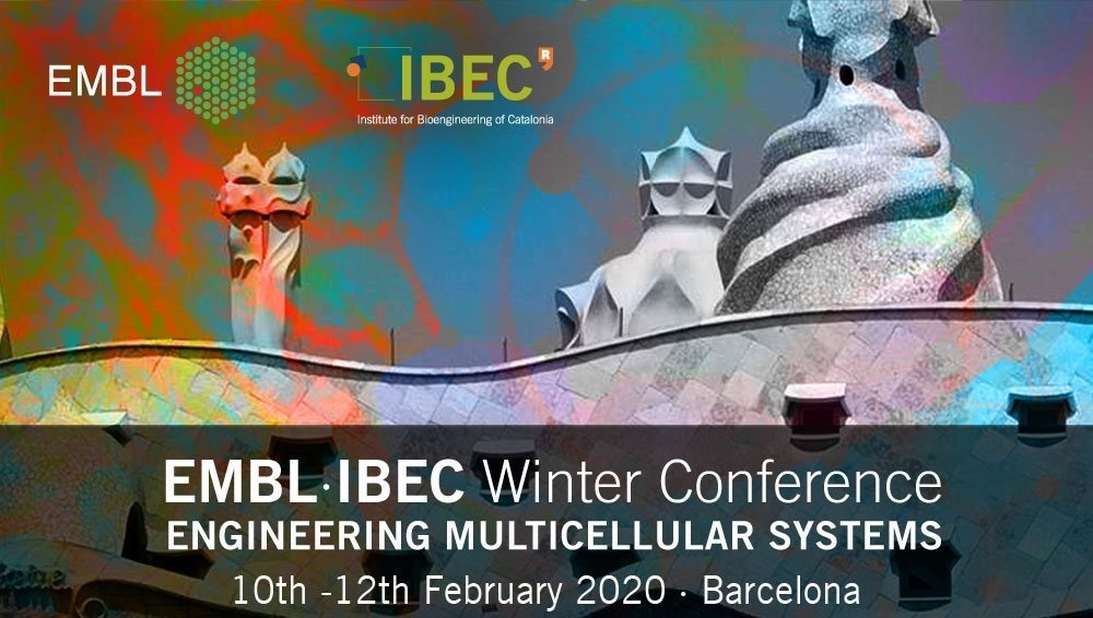 Luisma Escudero (@lmescu) on Twitter photo #EIWC20 is starting in Barcelona today. <a href="/scu_lab/">ScuLab</a> is represented there by <a href="/CarmenMGordill1/">Carmen M. Gordillo Vázquez</a> (poster nº 4) and <a href="/pgomgal/">Pedro Gómez Gálvez</a> that will give a talk about our latest results on 3D packing and #scutoids. We hope to get amazing feed-back and new ideas!!!! #EIWC20 is starting in Barcelona today. <a href="/scu_lab/">ScuLab</a> is represented there by <a href="/CarmenMGordill1/">Carmen M. Gordillo Vázquez</a> (poster nº 4) and <a href="/pgomgal/">Pedro Gómez Gálvez</a> that will give a talk about our latest results on 3D packing and #scutoids. We hope to get amazing feed-back and new ideas!!!!