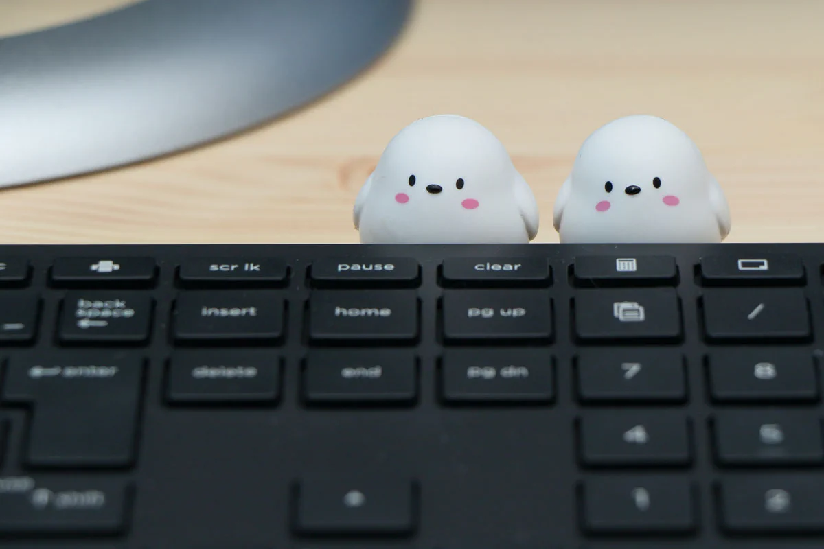 目指せ全種コンプリート！雪の妖精シマエナガがガチャガチャに！