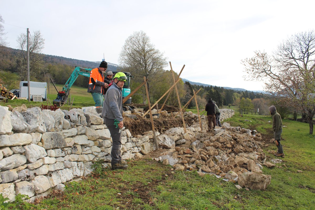 Les apprenants muretiers sur le dernier tronçon à rénover du mur en pierres sèches de La Mayette, à Lignières, en mai 2019. © Parc Chasseral