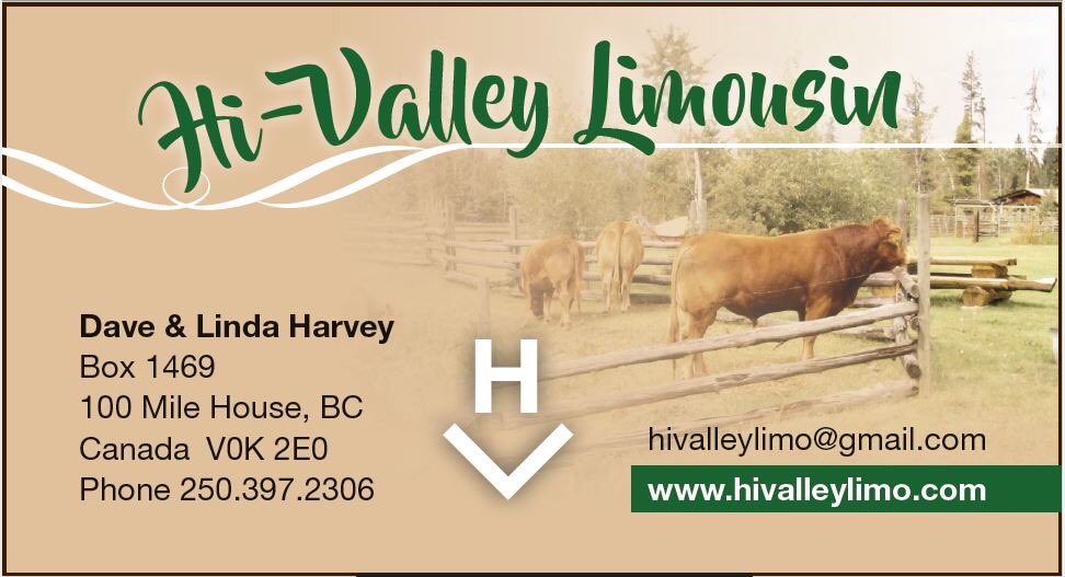 Hi-Valley Limousin's business card ad was regrettably not included in the February 2020 issue of the Limousin Voice magazine. We extend sincere apologies from the Limousin Voice.