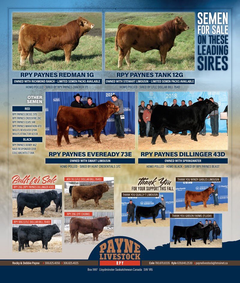 Payne Livestock’s most recent advertisement was regrettably not included in the February 2020 issue of the Limousin Voice magazine due to an error at the printer that reproduced the December 2019 cover. Sincere apologies from the Limousin Voice.