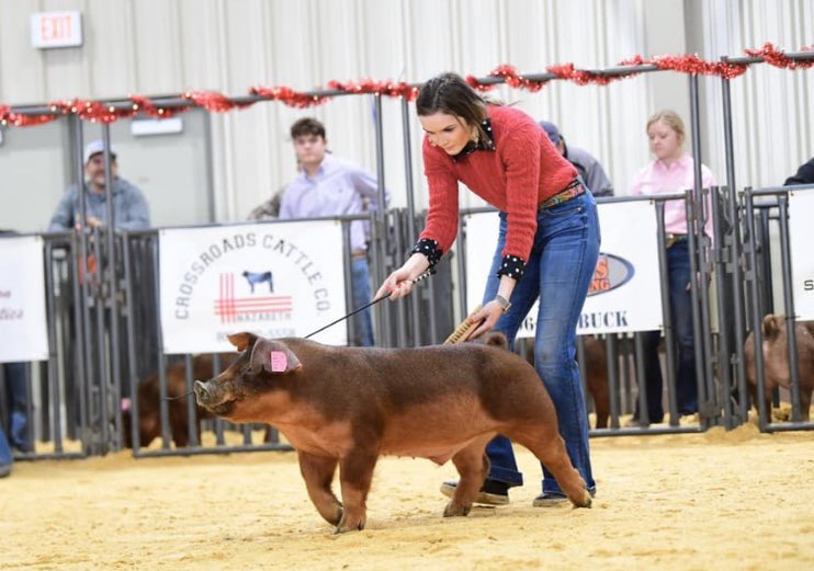 Congratulations to LCP’s Kiersten Bourquin! She showed the breed CHAMPION Duroc at the San Antonio Livestock Show today