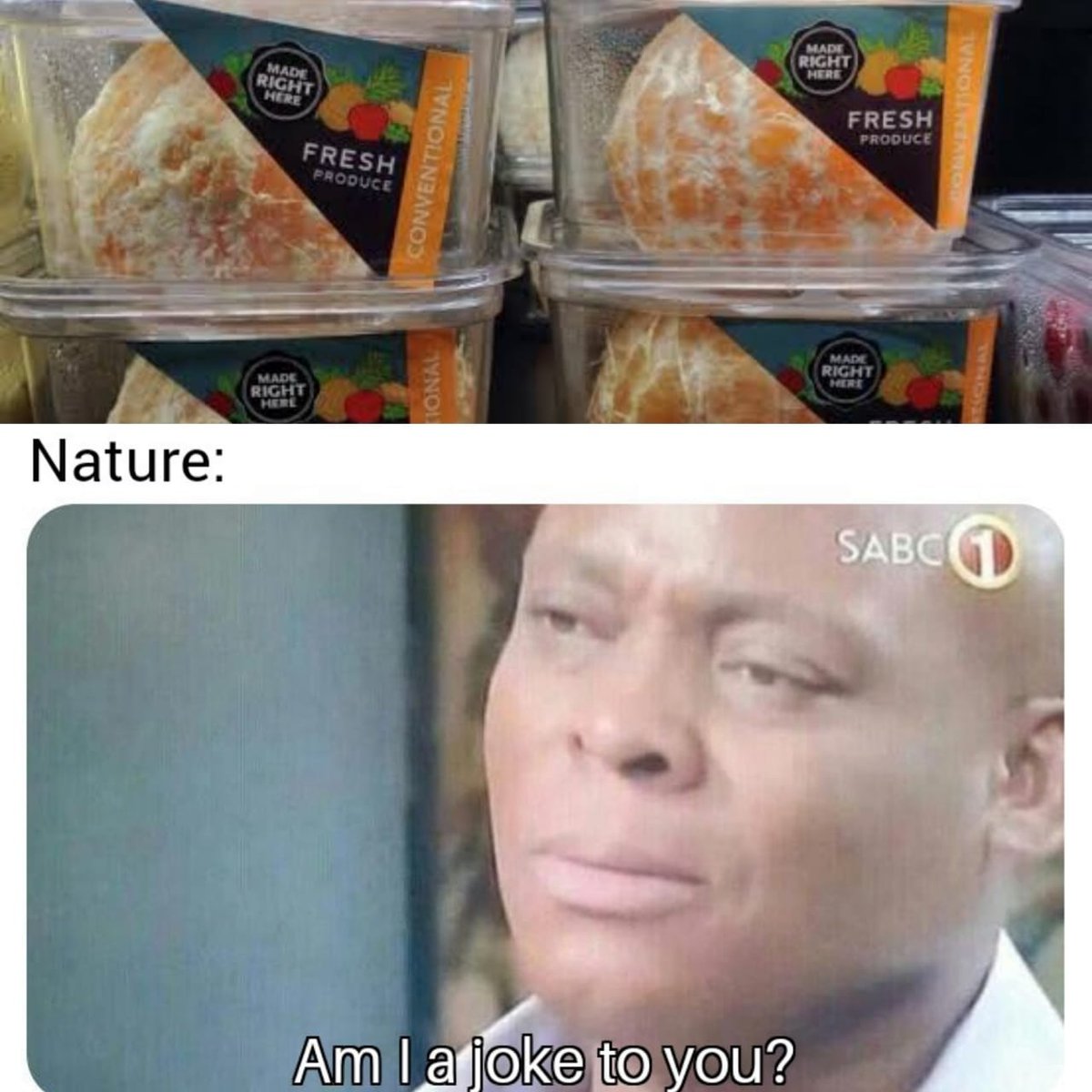 letsbunpackaged's tweet photo. If only nature has a way to protect the fruits 🤦🏻‍♀️ #unnecessarypackaging #letsbeunpackaged https://t.co/YAwtItv0M7