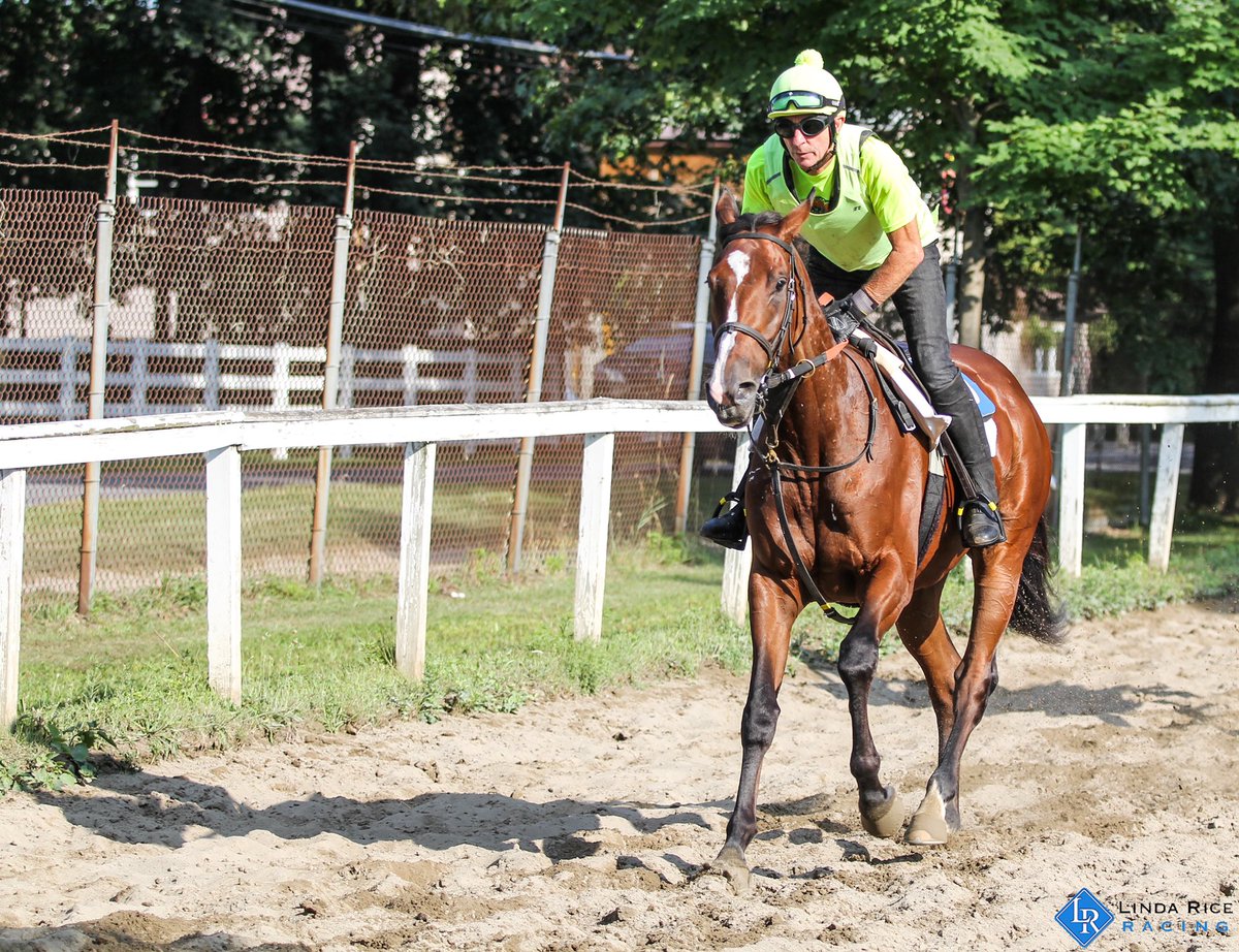 Linda Rice tweet media