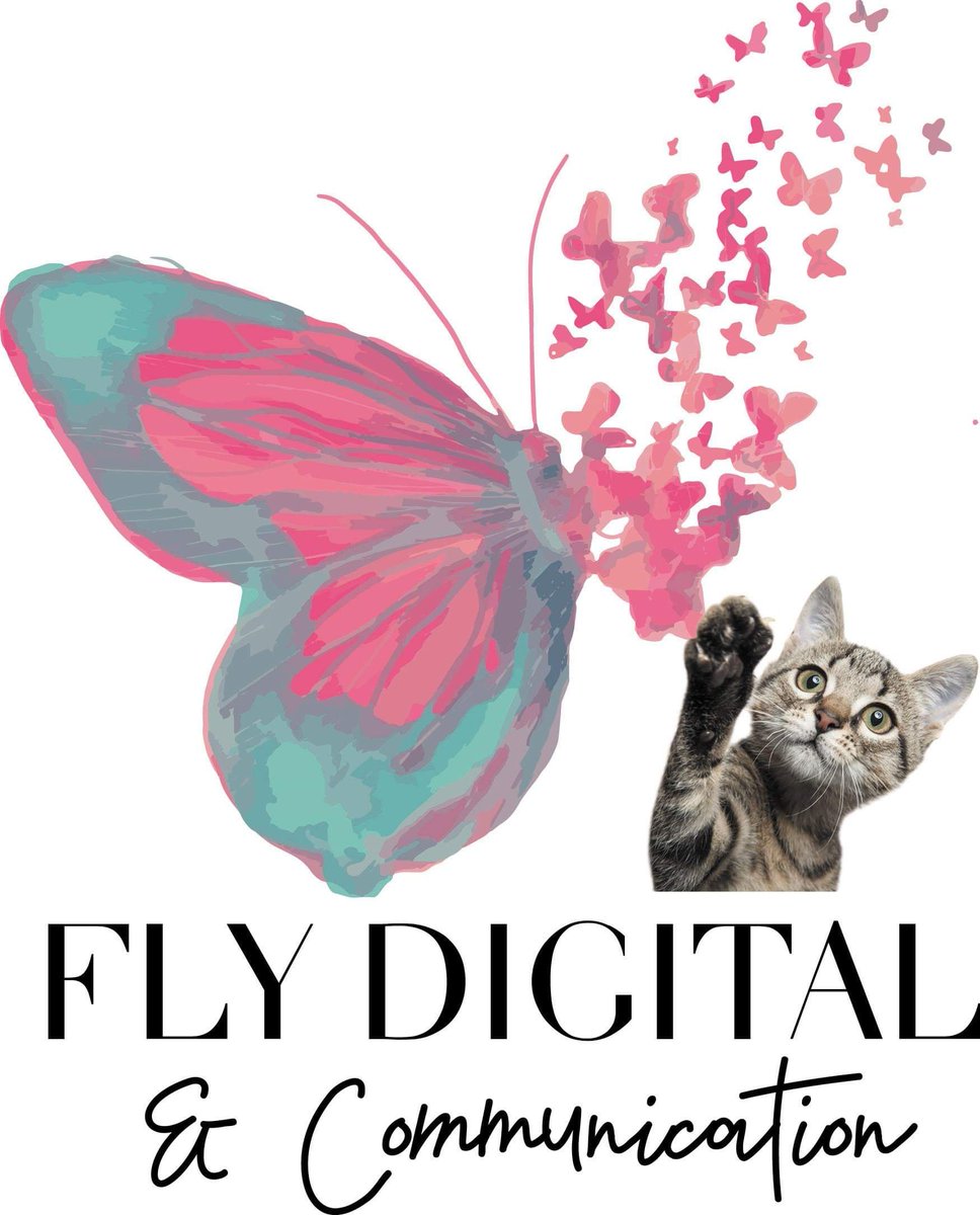 FlyDigital_'s tweet photo. #giornatamondialedelgatto #giornatadelgatto #catday https://t.co/qldgOzDN8a