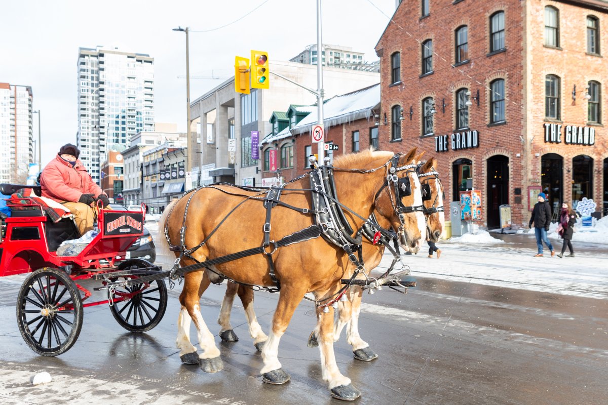 ByWardMarket_'s tweet photo. Happy #FamilyDay! Bring your kids for fun at @urban_barn - 22 York Street in #bywardmarket at 10am-5pm: #LEGO #Hygge @OttawaMonopoly #monopoly #facepainting #pettingzoo #woodcarving #wagonrides #ottawa #winterlude https://t.co/WPvRjwbKDu