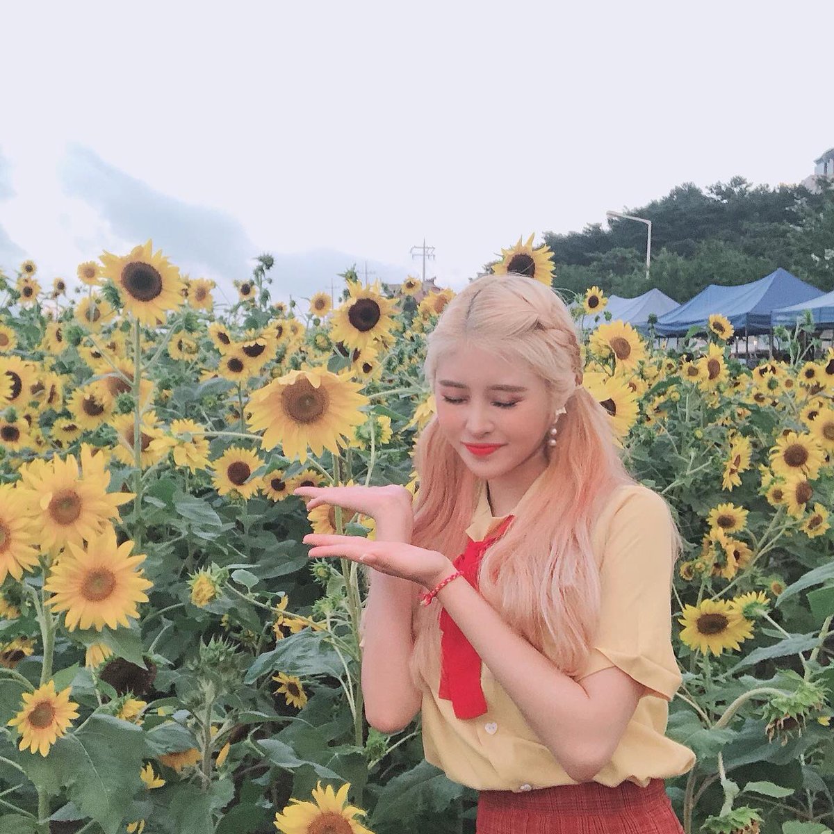 manitopics's tweet photo. 🐝 * .° seolha
            cr. yellow bee

#yellowbee #옐로비 #dvd
watch dvd: https://t.co/ZuHCXeV0YX https://t.co/0QnmwiUoPp