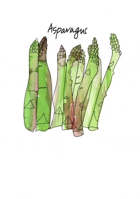 tutor_bill's tweet photo. Asapargus - Asapargus - by Daryl Stevenson #drawcolorclick #onlinelearning #onlinecourse #careerchange #illustration #illustrate #billustrate #sketch #drawing #billustration  #tutorbill #watercolour #handmade #colour #texture #ink #onlinelearning  #shortcourse #photoshop https://t.co/EWYA3sUPzI