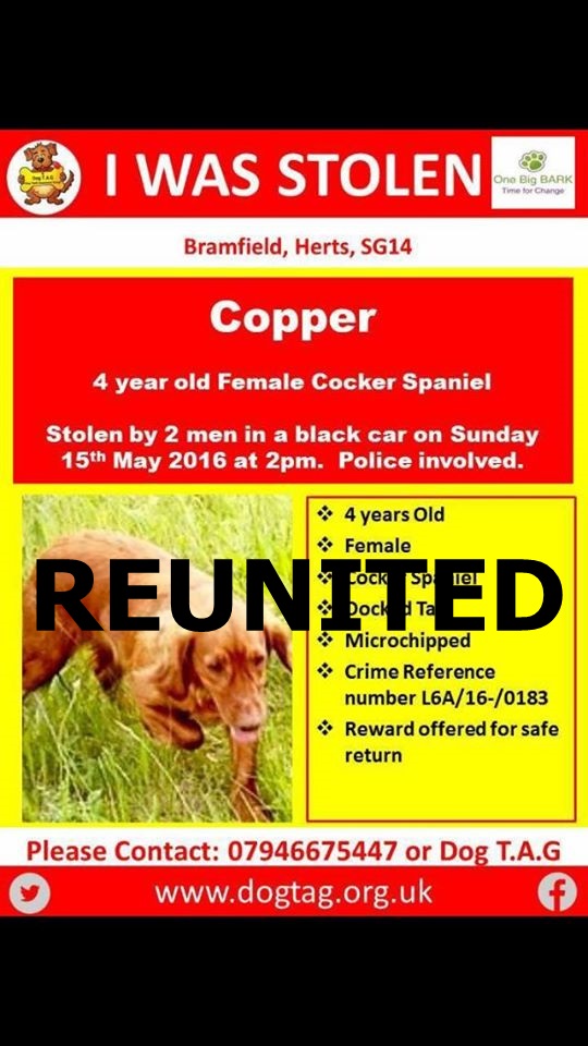 blacklab115's tweet photo. DRUM ROLL.........................................NEWS JUST UPDATED...........#FINDCOPPER #STOLEN 4 YEARS AGO IN 2016.....................IS NOW.....#REUNITED AND HOME!!!!!!!!!!!!!!!! https://t.co/LOtL813dxm