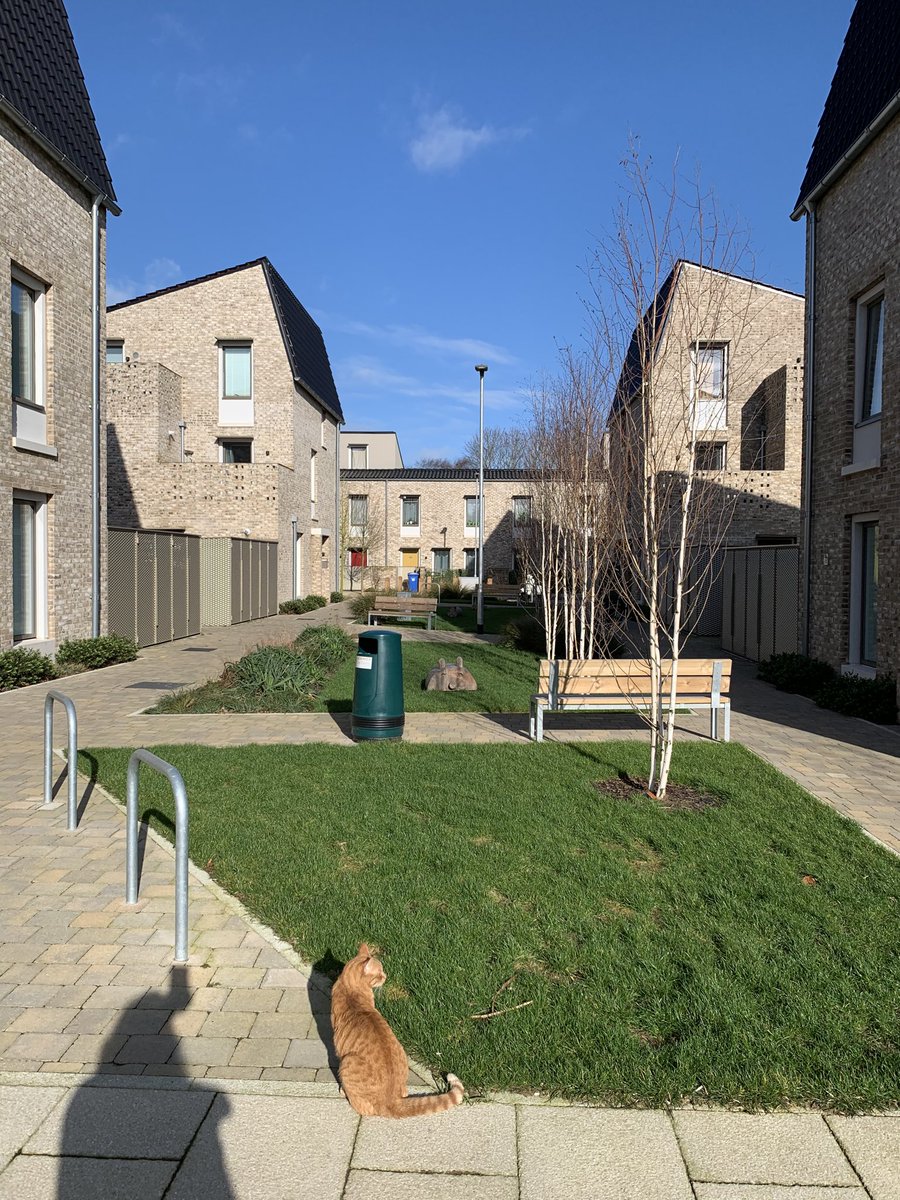 Hilary Satchwell tweet media