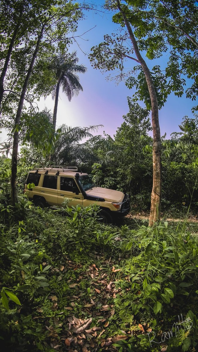 AfricaPositives's tweet photo. Hiking and Exploring the Beautiful Margibi County’s Forest 🌳 ❤️🤗🇱🇷

📸 Rami Ramitto
#LibPositives #LiberiaPositives #Liberia #Monrovia #LibPositivesdiscussion #Africa https://t.co/uWQDKqOmuH