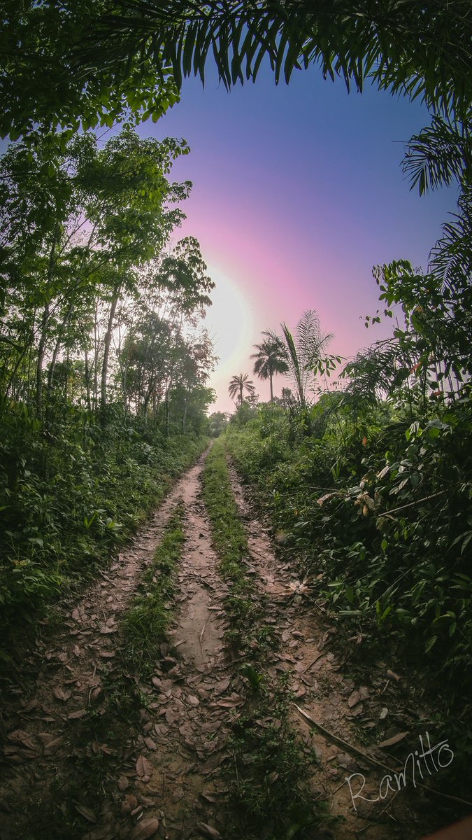 AfricaPositives's tweet photo. Hiking and Exploring the Beautiful Margibi County’s Forest 🌳 ❤️🤗🇱🇷

📸 Rami Ramitto
#LibPositives #LiberiaPositives #Liberia #Monrovia #LibPositivesdiscussion #Africa https://t.co/uWQDKqOmuH