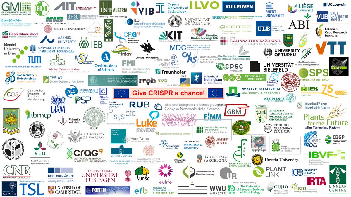 The European Advisory Committees on Biosafety are calling on the European governments to amend the GMO legislation &amp; to allow for genome editing for crop improvement. This science-based advice is critical for European food security and well fare. #EUSAGE bit.ly/2P0IFY8