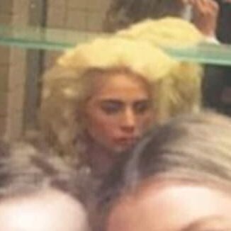 2. lady gaga getting trapped in bathrooms at the met gala while everybody is taking selfies