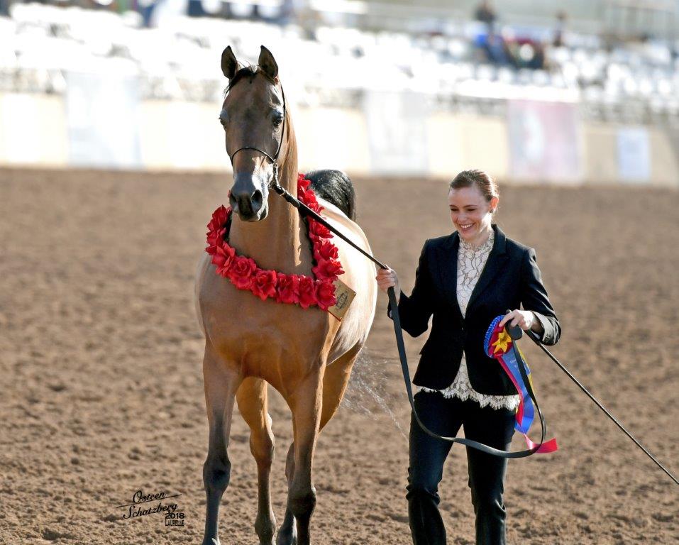 EQSportsNet tweet media