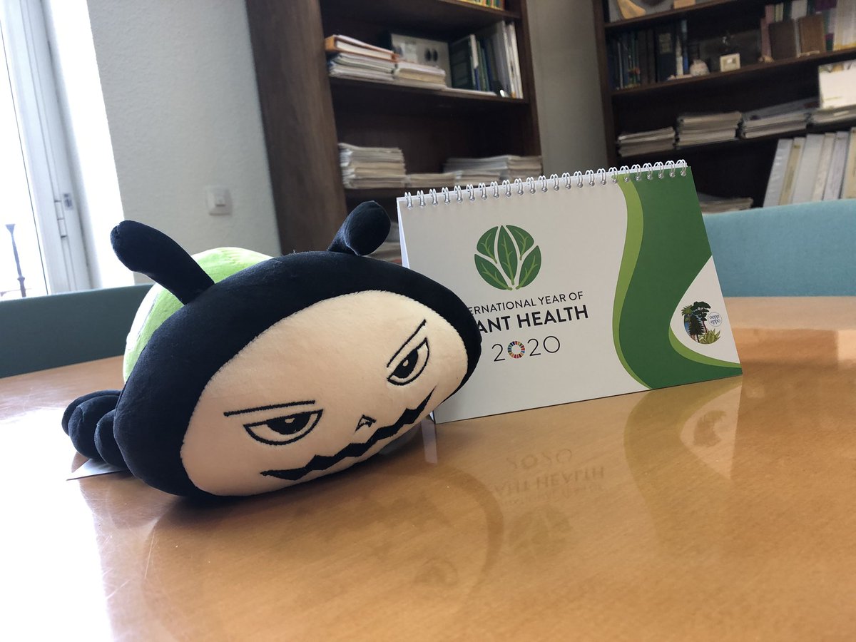 gonz_zapater's tweet photo. Today I saw #BeastieBug in the plant health office in Madrid #MAPAMA. I was hungry and wanted to end the International Year of Plant Health #IYPH2020. We want an Beastie the Bug in Murcia for our new offices 😢😍 @EPPOnews https://t.co/GfKYMqkzuE