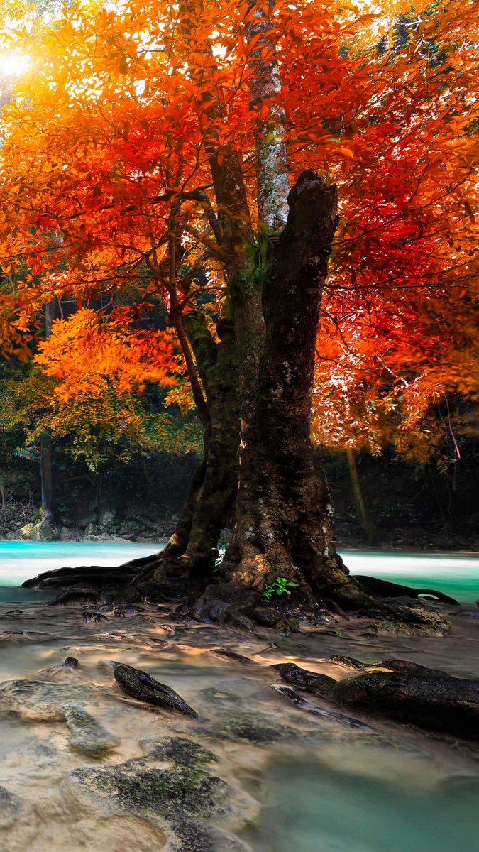 Buon pomeriggio
#17febbraio e buon proseguimento di giornata a tutti