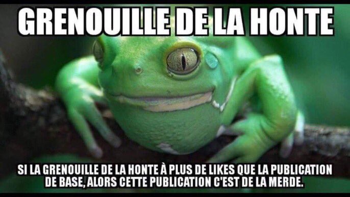 Télécharger gratuitement Images Legeek 14 14legeek Twitter dernière par