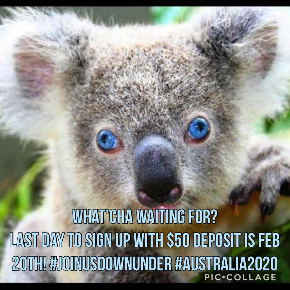 bailey_illig's tweet photo. Last chance to sign up!! It’s gonna be fun https://t.co/AvcCzrX2ZN