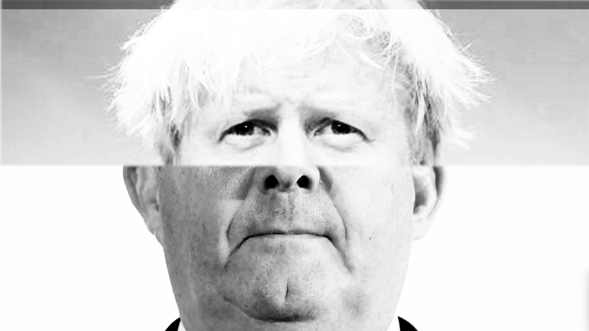 Scaredycats tweet media