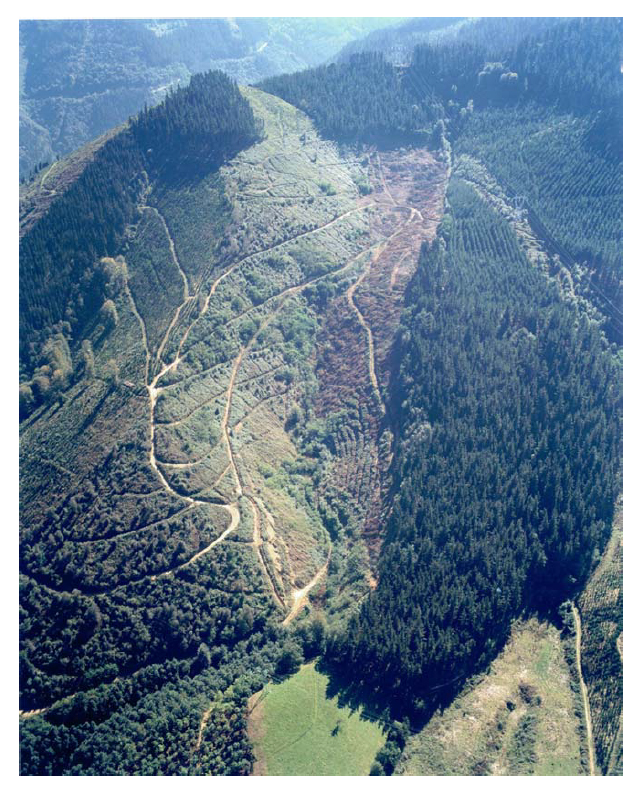 Lander Arbelaitz tweet media