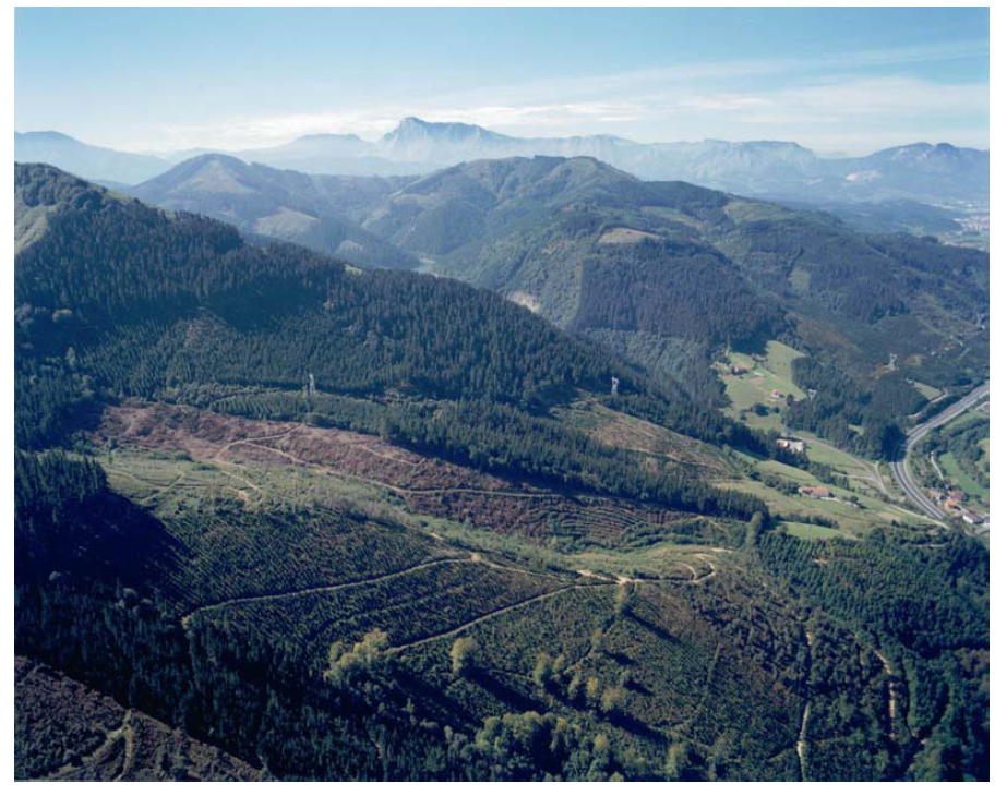 Lander Arbelaitz tweet media