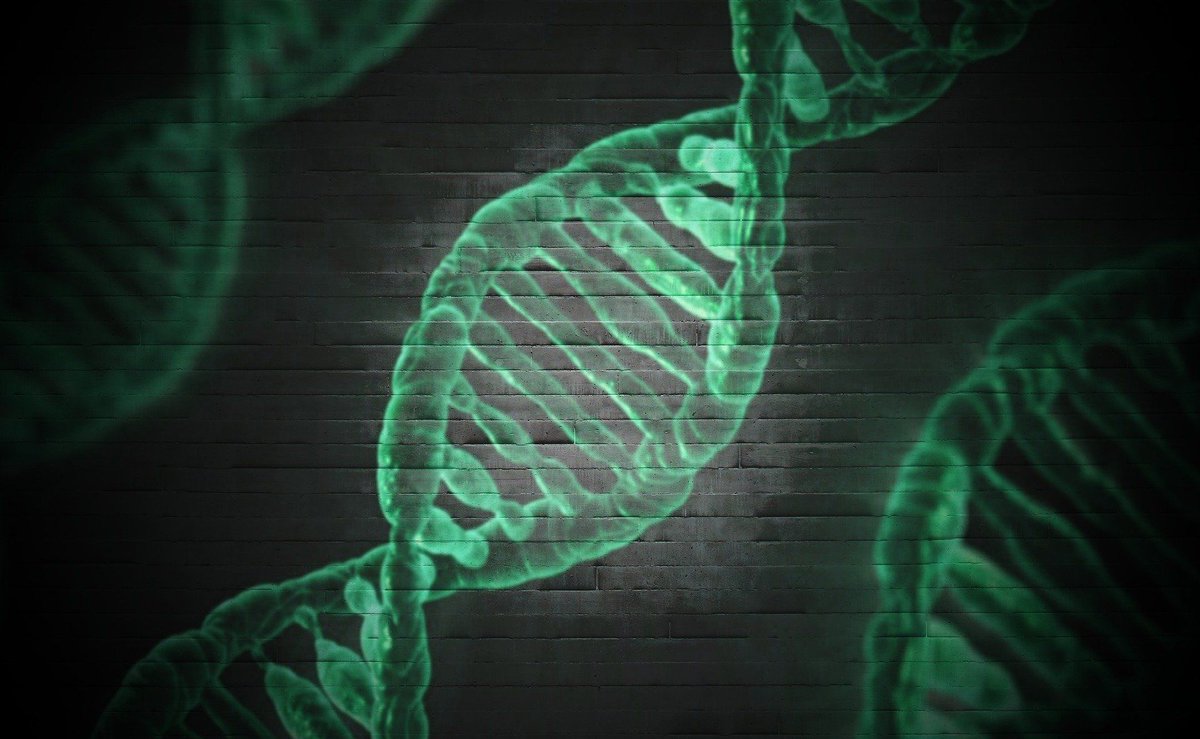 nano4global's tweet photo. At Nano4 Global, we use gold nanoprobes to identify a DNA/RNA sequence that results in a color change.
https://t.co/eSGsQMin1c https://t.co/VOvh8osnlU