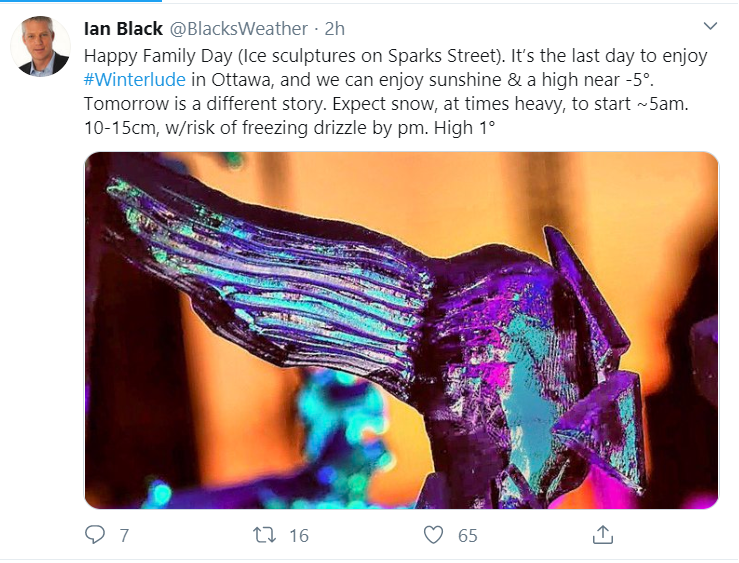 TrendifyLive's tweet image. What are the hot trends, influencers right now in #ottawa 2020? @TrendifyLive 

#Winterlude &amp;amp; #TransitChallenge2020 
1)@BlacksWeather
2)@OttTransitRider
3)@jamesExiledLedg
4)@evelina_lowell
5)@JosefinaVidalF
6)@kurchenko
7)@CFRAOttawa
8)@PringleJosh
9)@TaranWasson
10)@ErtlAnthony