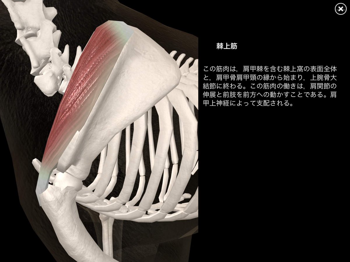 人と犬の整体師 高木 Op4d333gok4brdy Twitter