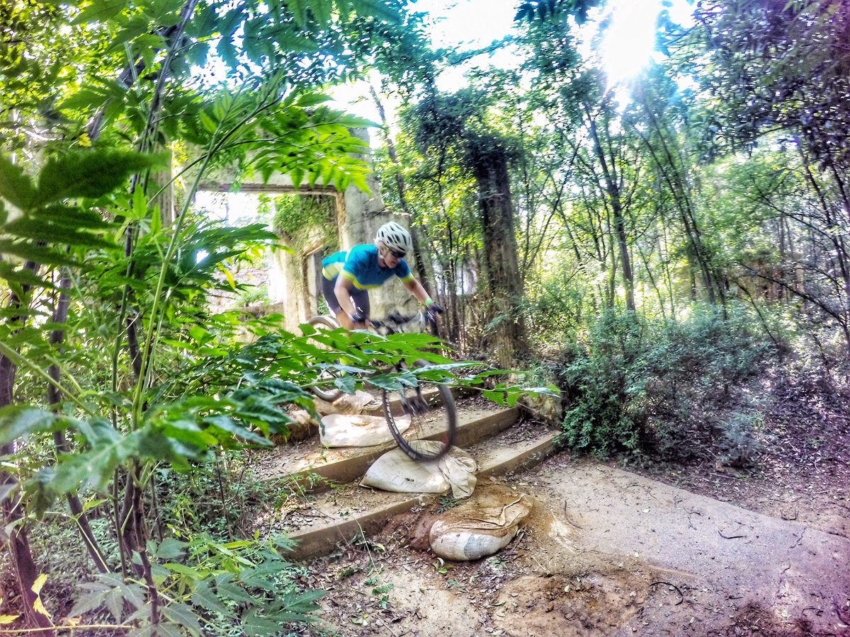 kim voller tweet media