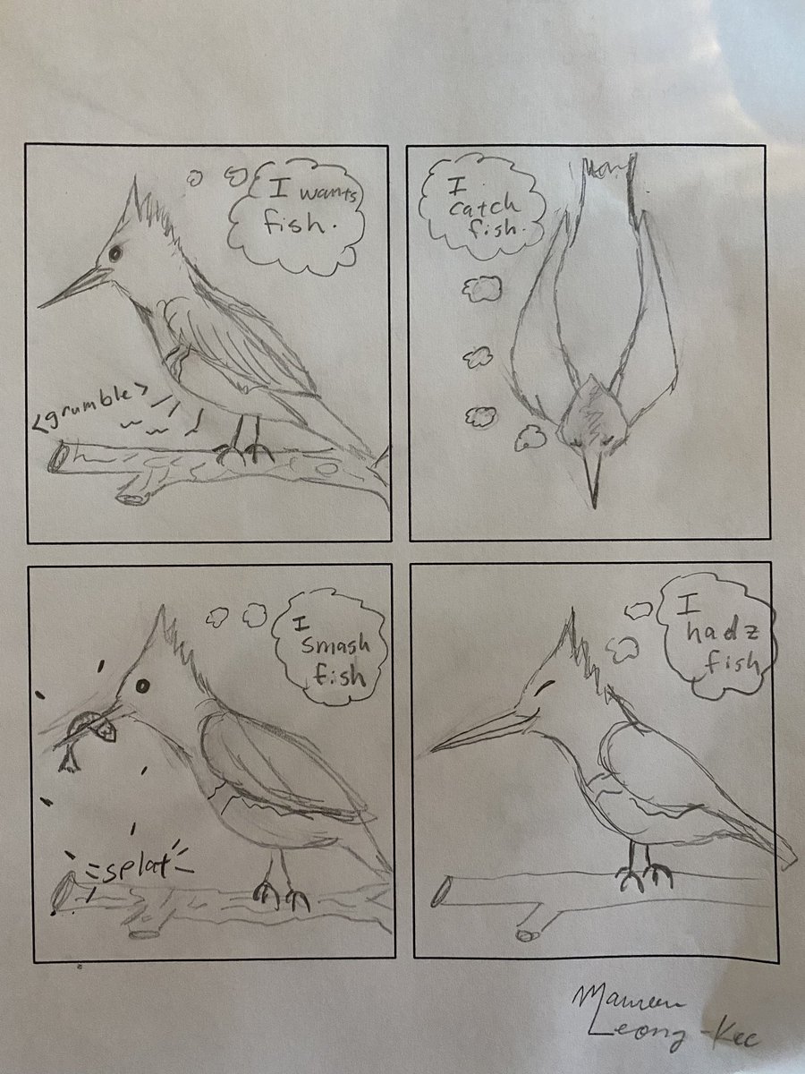 Winter Wings festival in Klamath Falls was an absolute blast! Great birding and speakers, and an awesome drawing workshop with @RosemaryMosco Here is my comic I drew from that said workshop 😃