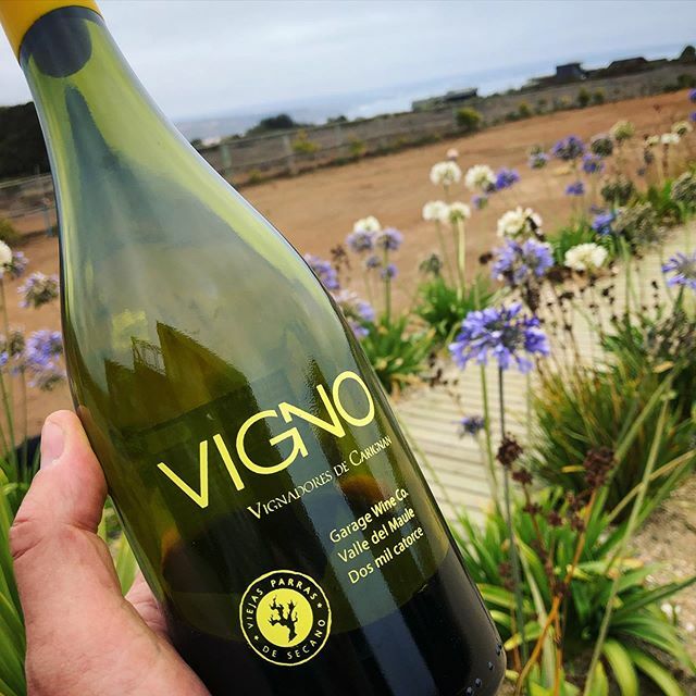 garagewineco's tweet photo. #vigno #gwcovigno Catorce en la costa! #tunquen #tunquenwines https://t.co/8ud0VXg5IS https://t.co/1cydFtRk4t