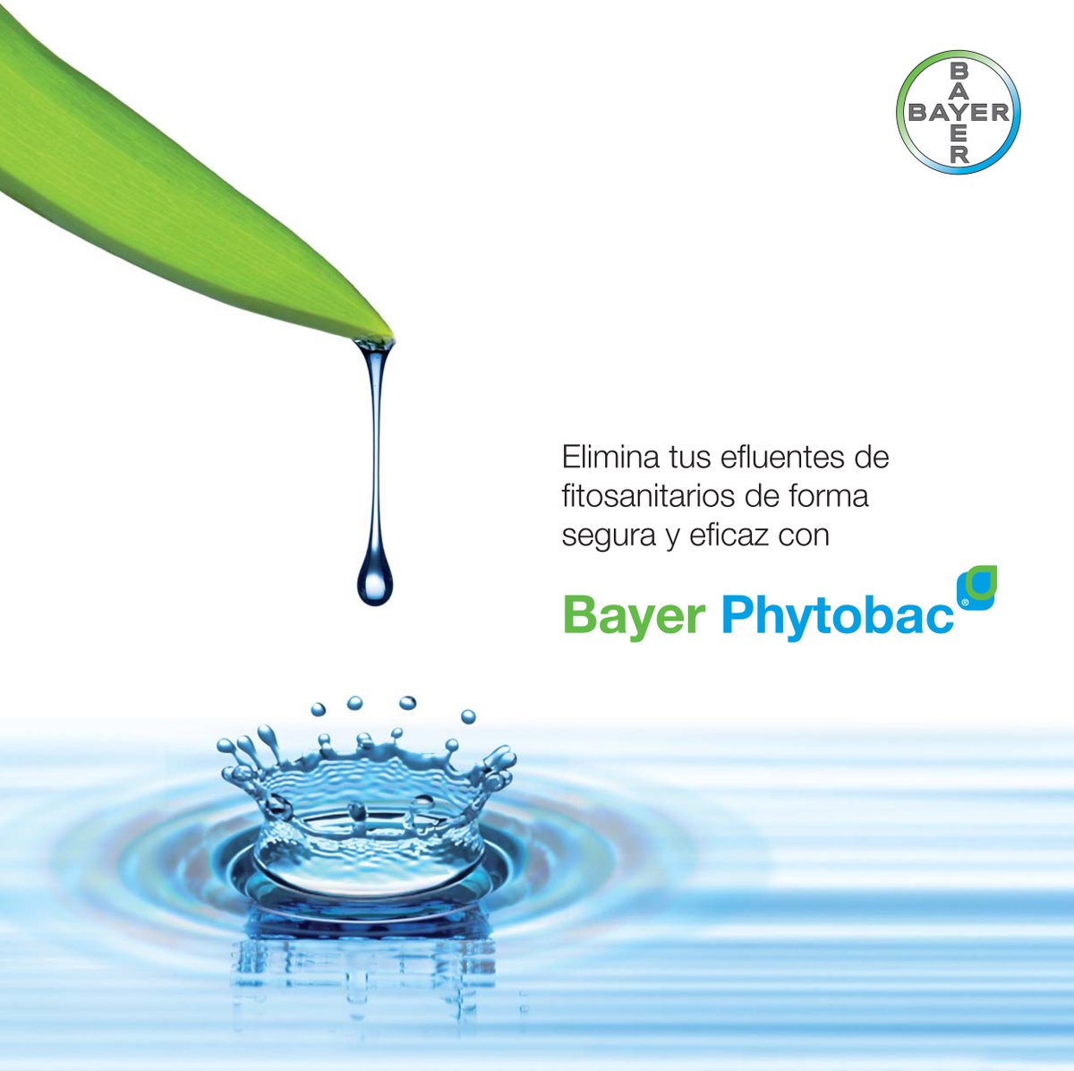 💧💧 ¿Conoces #Phytobac de <a href="/Bayer4Crops/">Bayer | Crop Science</a>? 

Una solución para ayudar a los profesionales agrícolas a ser más sostenibles eliminado fitosanitarios de los efluentes generados.