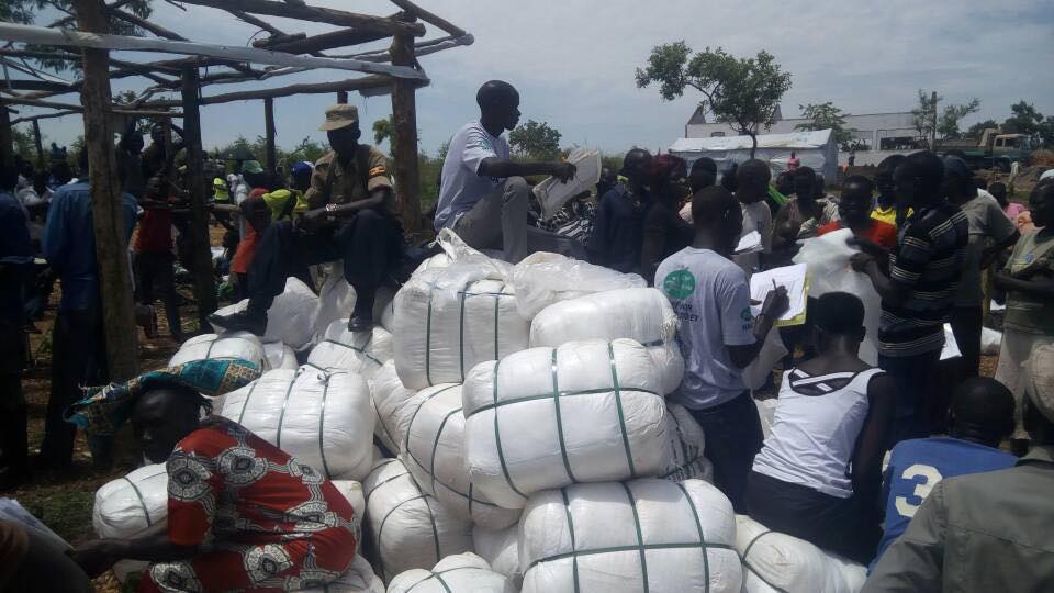AlindaTendo's tweet photo. Mpozzi ne'ekilala, twewandisse tufune obutimba bwensili.
Okubugaba kutandika mwezi gujja ogwa March.
Okwewandiisa kutandise ewa LC1 ne VHT ku kyaalo kyo.
#NetCampaign2020 
Lwanyisa omusujja gwensili nga osula mukatimba ako'obwerere okuva mu @GovUganda https://t.co/ZPKmBvfO0O