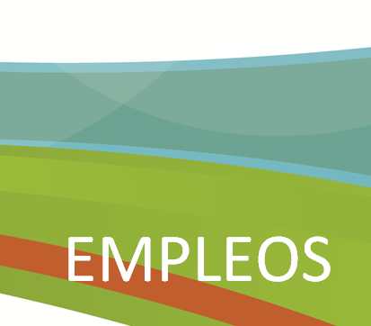 saludprimariapr's tweet photo. BANCO DE RECURSOS / EMPLEOS en la #Red330
Conoce la nueva función de la Plataforma de Empleos en nuestra página https://t.co/eoEflSv8EM.
#SomosRed330 https://t.co/7cV5x7qtO0