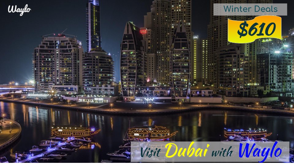 Waylo: Hotel Price Prediction tweet media