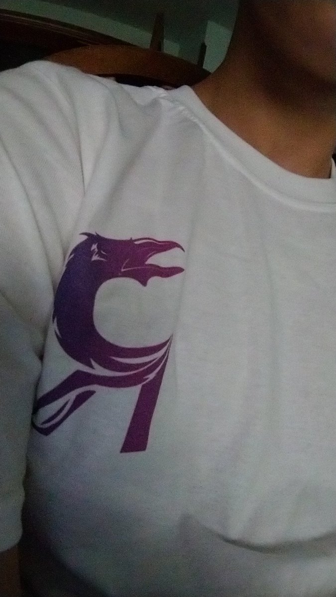 zzLuckii_'s tweet image. #CrowingTogether @Ravens_EC @Callrecall @Esloan_OW @Knavish_OW @WOOLD_OW 💜💜