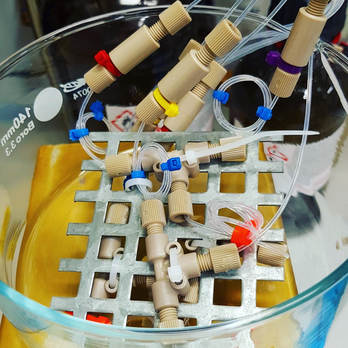JanGriwatz's tweet photo. Setting up the reactor of my next #flowchemistry reaction.
#unigiessen #realtimescience https://t.co/h2HM3D5ZTd