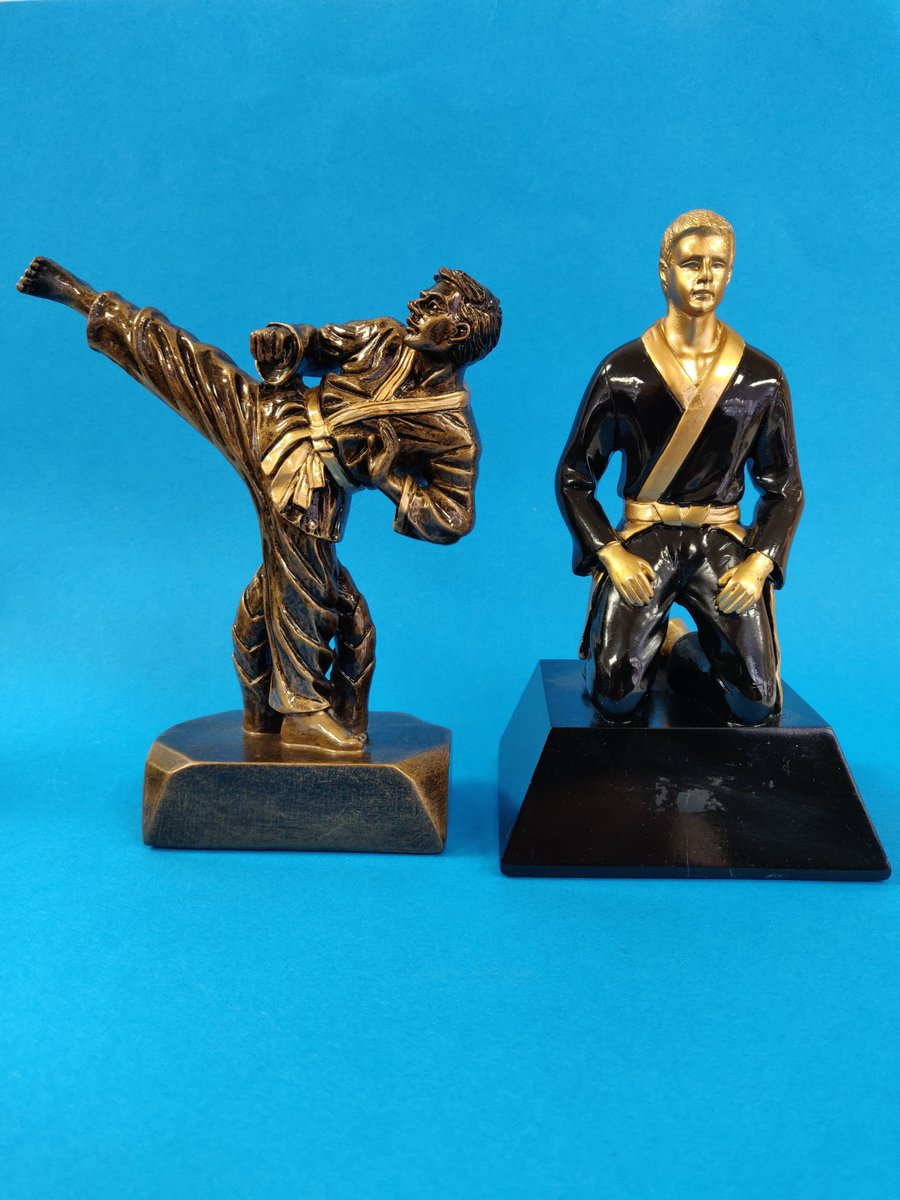 VictoryTrophy's tweet photo. Latest offer! Any single item (pictured) £5, Any 2 items £8.50, 3+ £4 each! Self defence awards. Get them while you can. https://t.co/VQe1vGJQT7